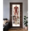 Attack on Titan Türposter