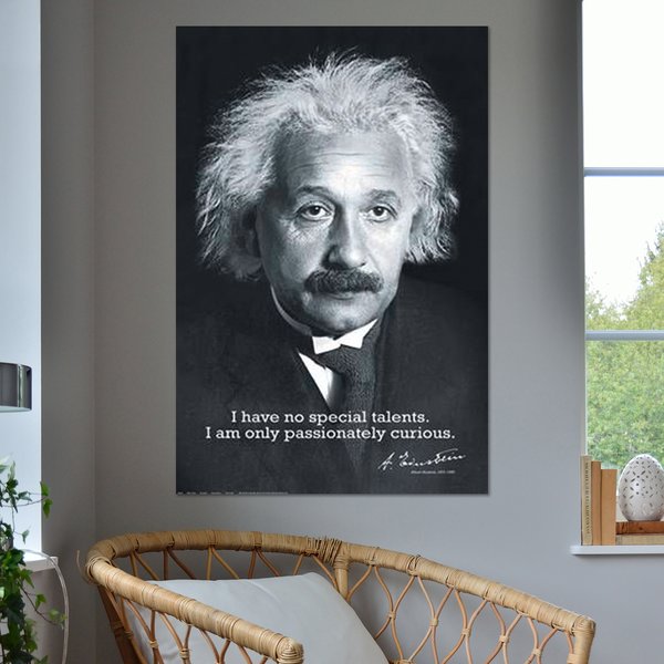 Albert Einstein Poster