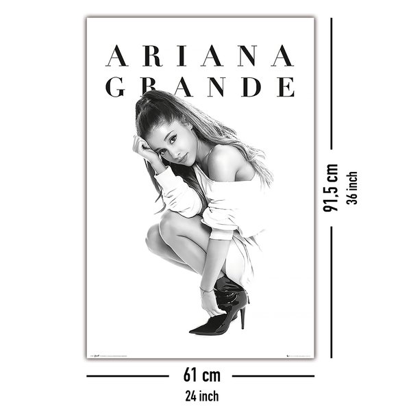 Ariana Grande Poster Crouch