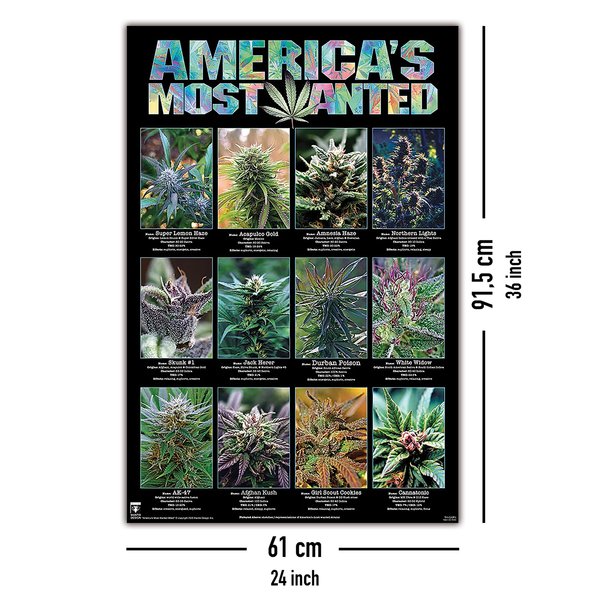 America's Most Wanted Poster