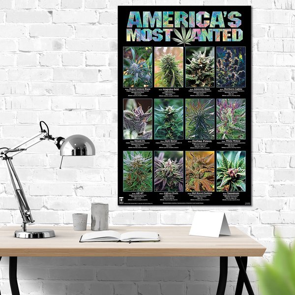 America's Most Wanted Poster