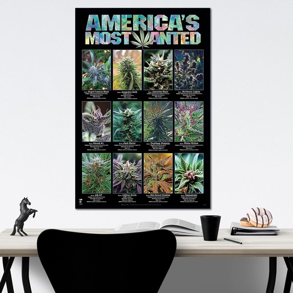 America's Most Wanted Poster