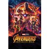 Avengers Poster 2er-Set
