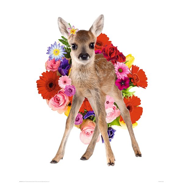 Bambi Poster