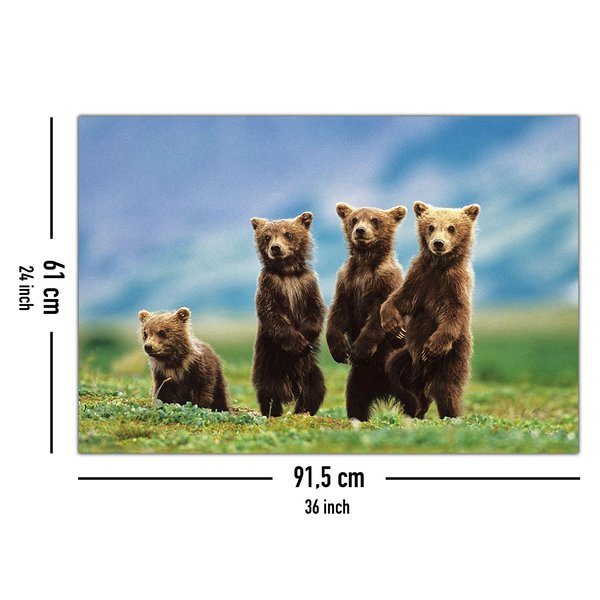 Bear Cubs Poster