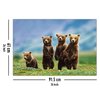 Bear Cubs Poster