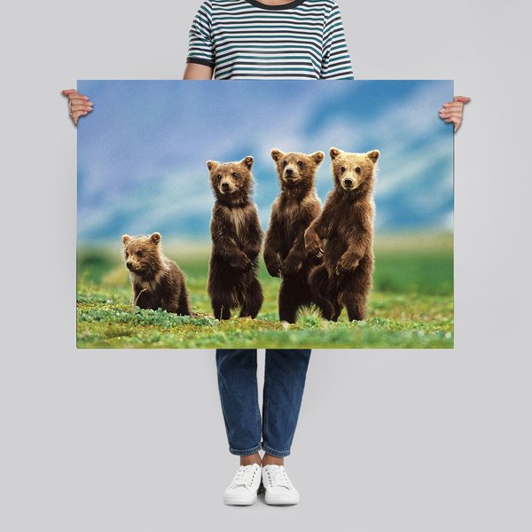 Bear Cubs Poster