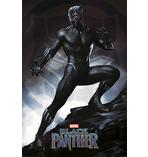 Black Panther Poster Stance