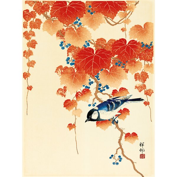 Bird and Red Ivy Kunstdruck