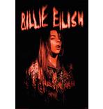 Billie Eilish Poster Sparks