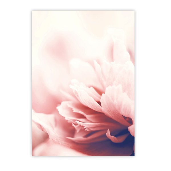 Blumen Kunstdruck Din A4