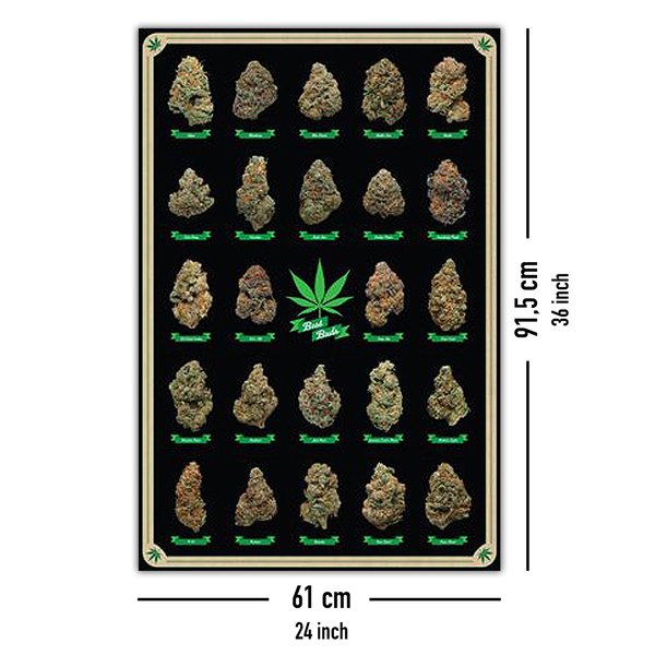Cannabis Poster Best Buds