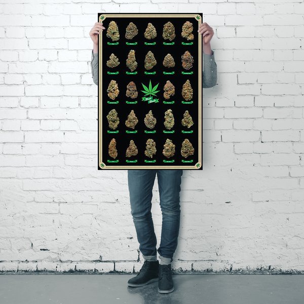 Cannabis Poster Best Buds