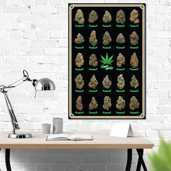 Cannabis Poster Best Buds