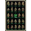Cannabis Poster Best Buds