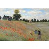 Claude Monet Poster