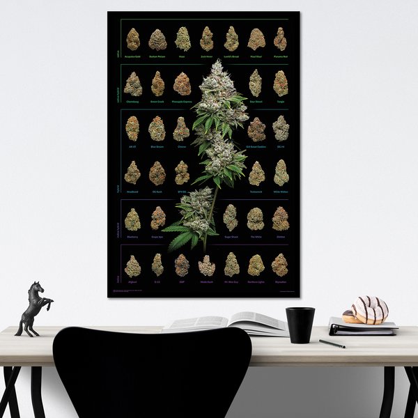 Cannabis Poster Dank Nugs