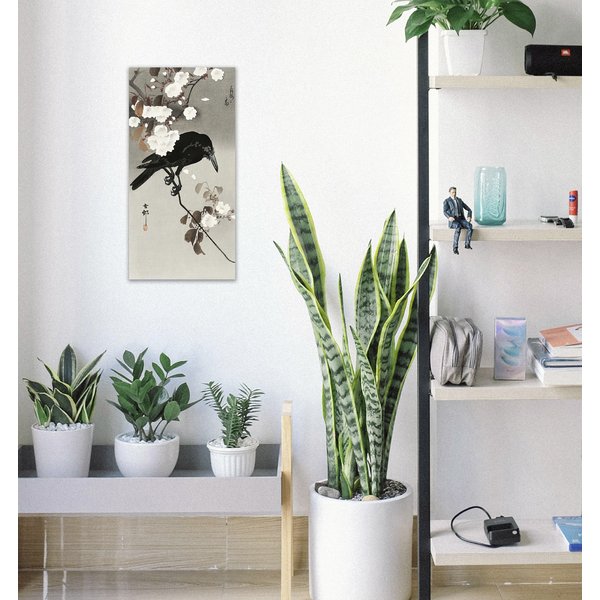 Crow And Cherry Blossom