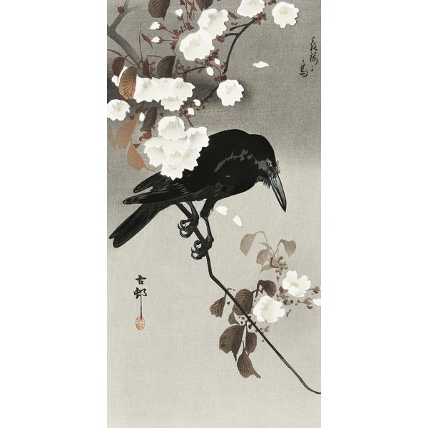 Crow And Cherry Blossom