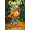 Crash Bandicoot Poster