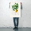 Citrus Limonium Poster