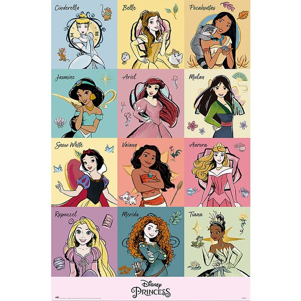 Disney Princess Poster
