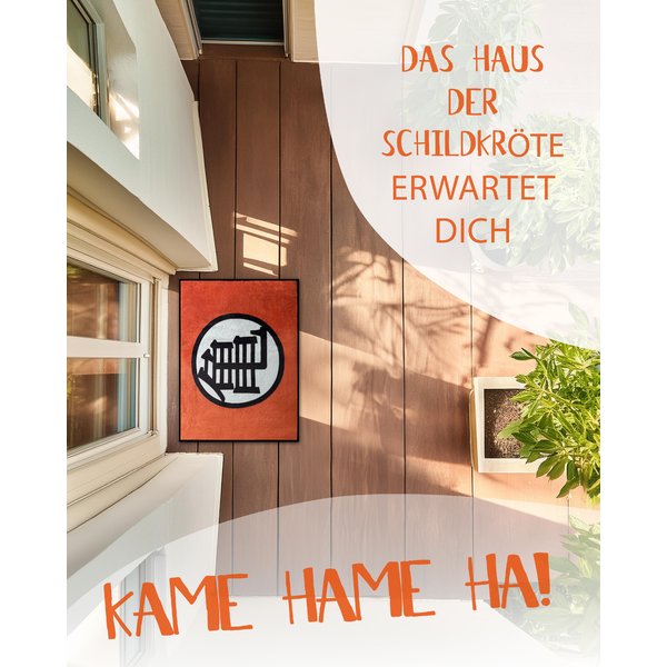 Dragon Ball Fu&szlig;matte Kame