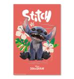 Disney Lilo & Stitch Poster