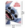Disney Lilo & Stitch Poster
