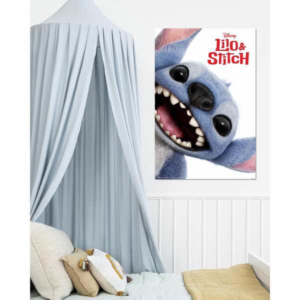 Disney Lilo & Stitch Poster