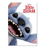 Disney Lilo & Stitch Poster
