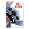 Disney Lilo & Stitch Poster