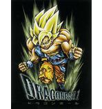 Dragon Ball Z Poster