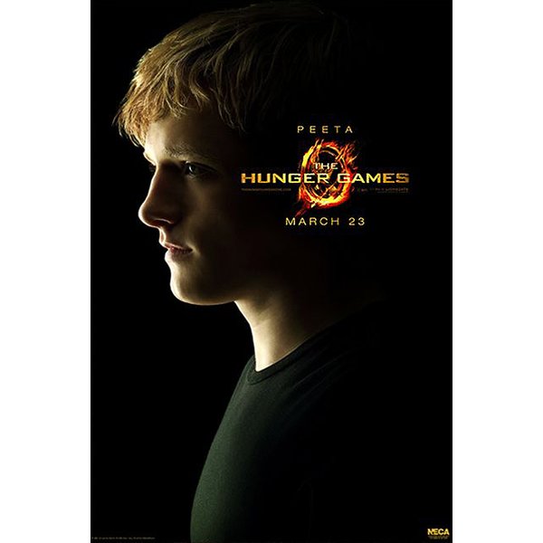 Die Tribute von Panem Poster