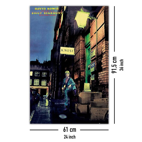 David Bowie Poster Ziggy