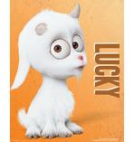 Despicable Me 3 Poster