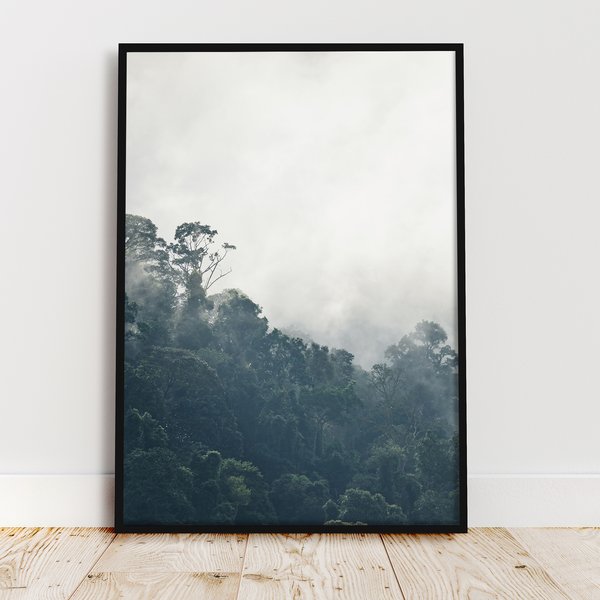 Dschungel Druck Regenwald