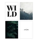 Dschungel Kunstdruck Set