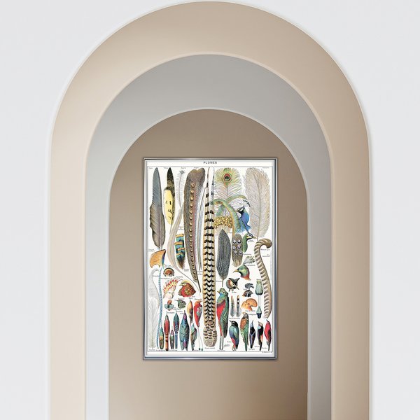 Federn Poster Plumes