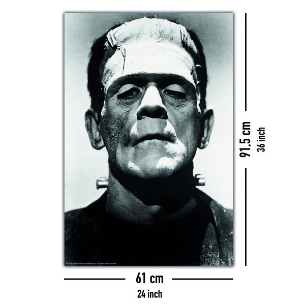 Frankenstein Poster