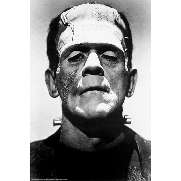 Frankenstein Poster