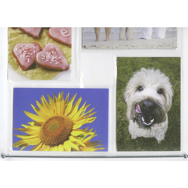 Fotohalter Fotovorhang