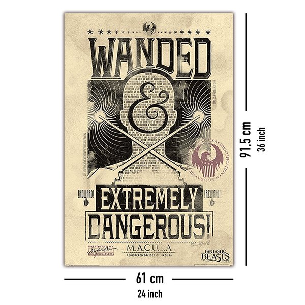 Fantastic Beasts Poster Wanded