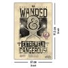 Fantastic Beasts Poster Wanded