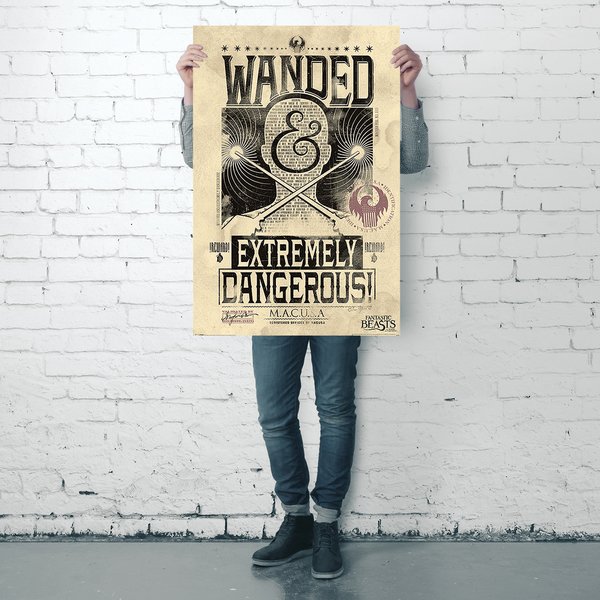 Fantastic Beasts Poster Wanded
