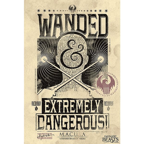 Fantastic Beasts Poster Wanded
