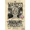 Fantastic Beasts Poster Wanded