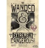 Fantastic Beasts Poster Wanded