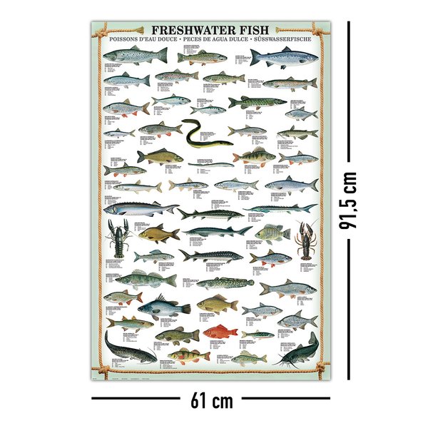 Freshwater Fish Kunstdruck