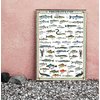 Freshwater Fish Kunstdruck